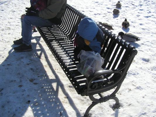 Noah is feeding the ducks.