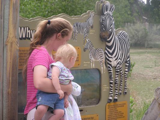 Katie and Sarah play with the zebra