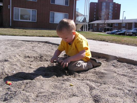 Noah digs in the sand.