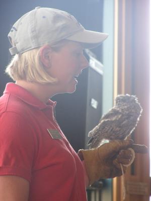 A screach owl.