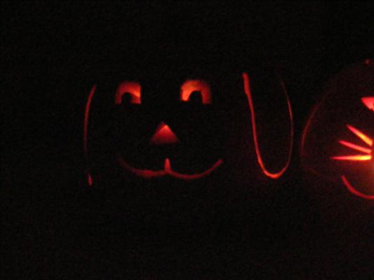 glowing dog pumpkin