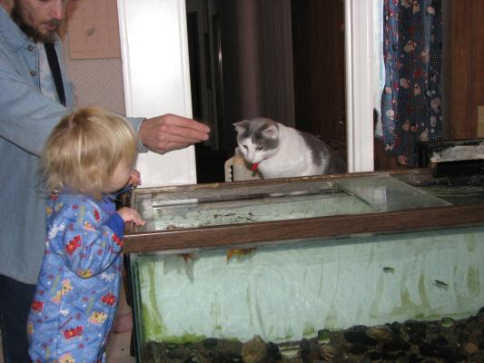 Sarah and David feed the fish.