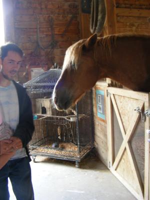 The horse wants to nibble at us.