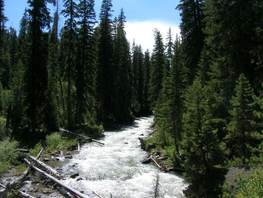 The South Fork of the West Fork of the Gallatin River.