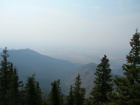 Bison Range 2006