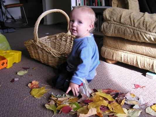 It's fun to play with leaves