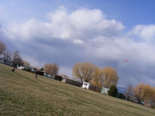 David and Noah fly the kite
