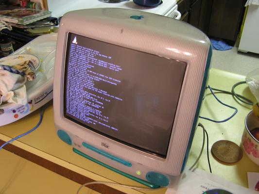 It's booting into Linux!