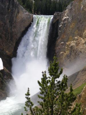 Yellowstone Falls.