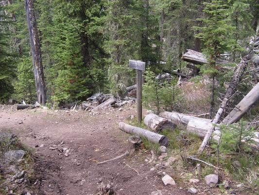 Hmmm, which way?