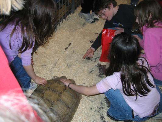 Malia and Andrea petting the turtle in the petting zoo