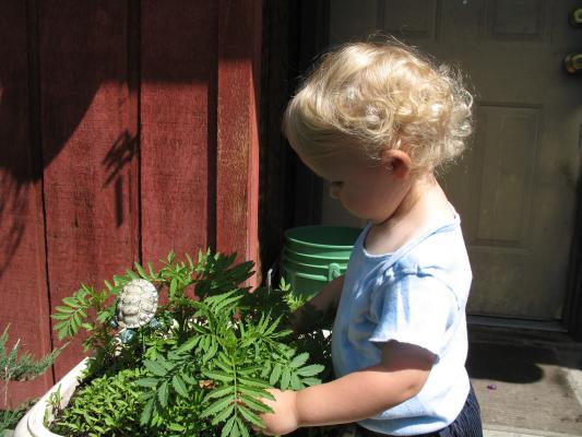 Noah plays in grandma's flower pots.