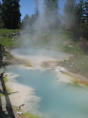 Hot pools in  yellowstone.