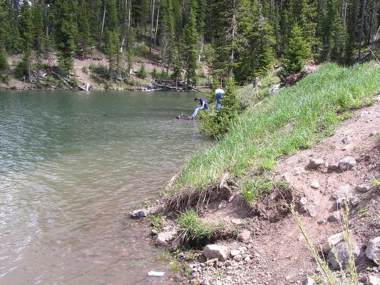 David and Mike throw rocks.