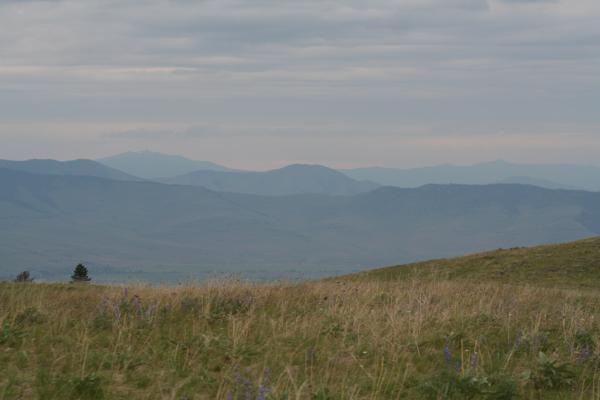 View from the Bison Range.