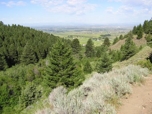 There's Bozeman