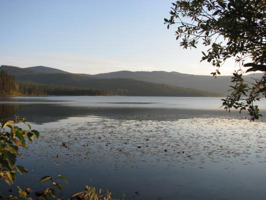 Lake Mary Ronan