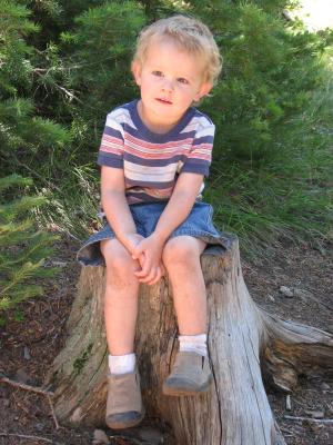 Noah on a stump