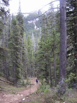 On the trail to Lake Blackmore