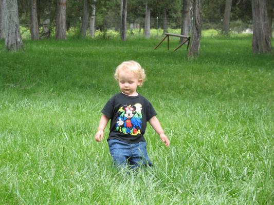 Noah runs through the grass.