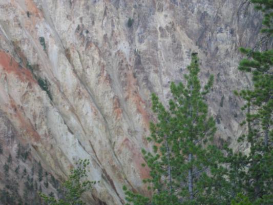 Yellowstone Canyon
