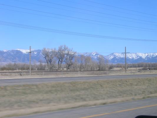 Gallatin mountians