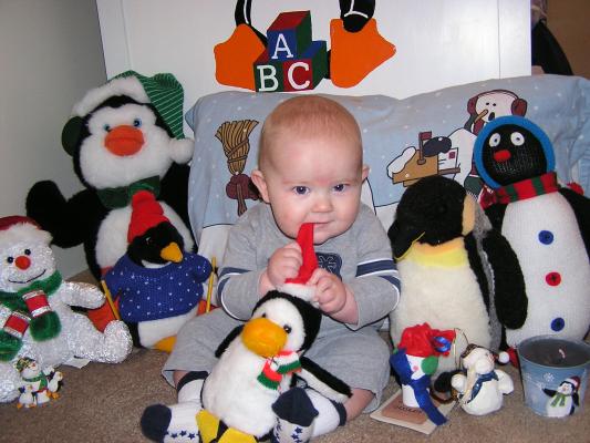 mmmm, penguins taste good
