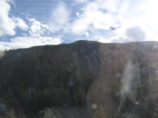 Helicopter doing some logging.