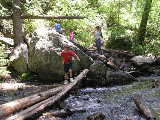 Max comes back over the logs across the creek.