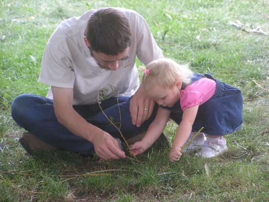 David and Sarah found a caterpillar