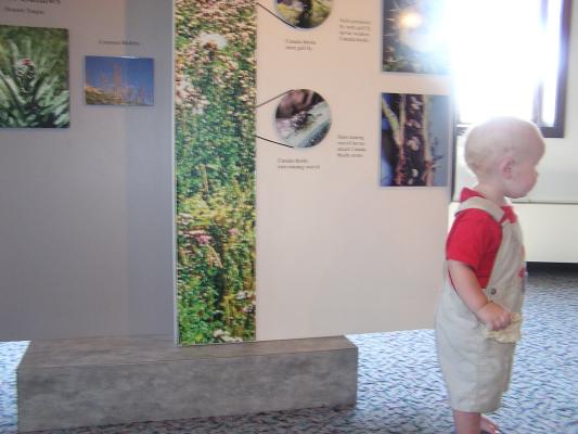 Noah looks at the displays at Wind Cave