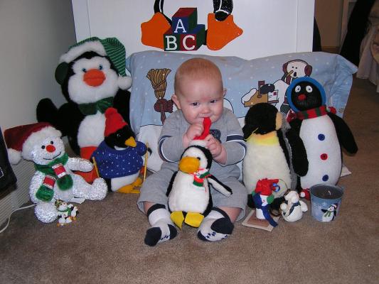 Look at all of our penguins