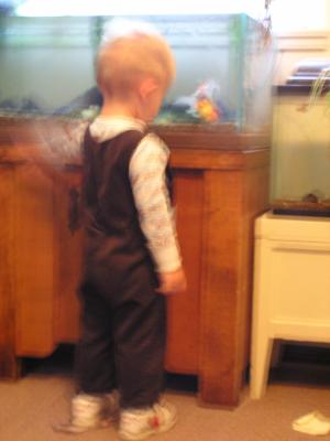 Noah wears a brown outfit that his Uncle Benji wore.