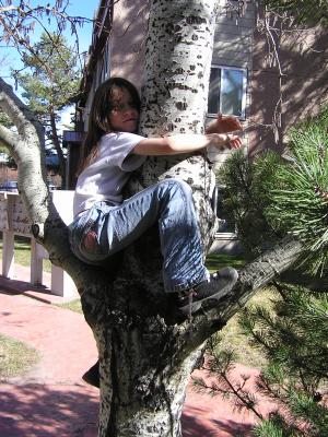 Andrea climbs another tree.