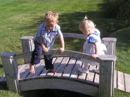 There was a little bridge over a creek at our neighbors' wedding.