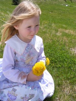 Sarah picks dandelions