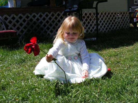 Sarah likes my rose.