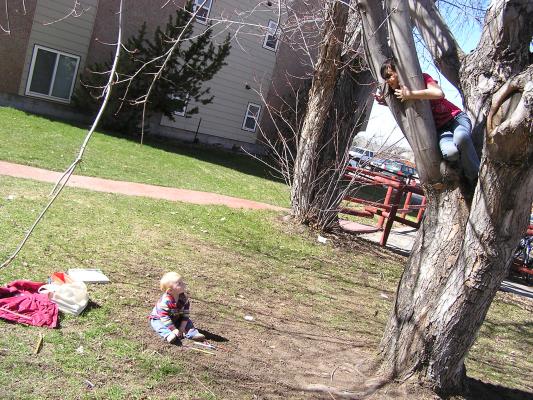 Kids playing in the yard.