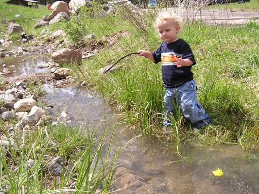 Noah goes back into the water.