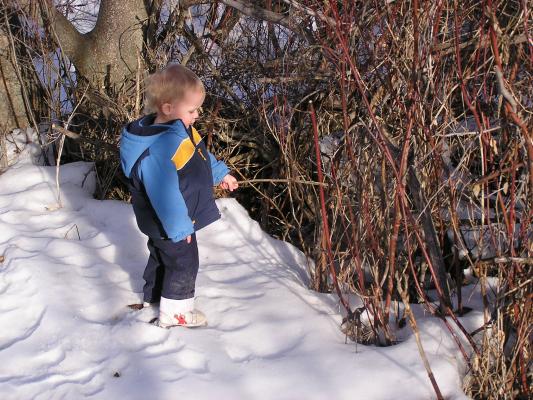 Noah plays with the other sticks.