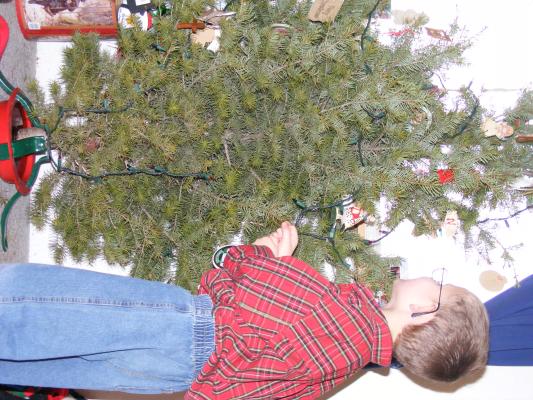 Redecorating the treee.
