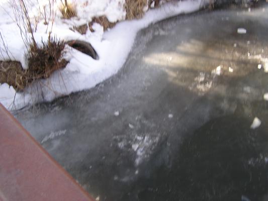 There's our ice way down there.