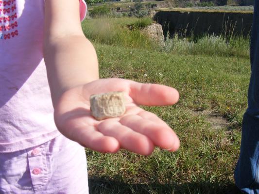 Sarah and David found a little bone.