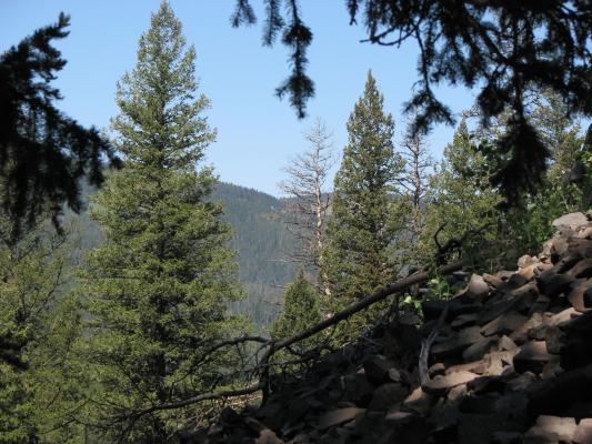A view from Palisade falls