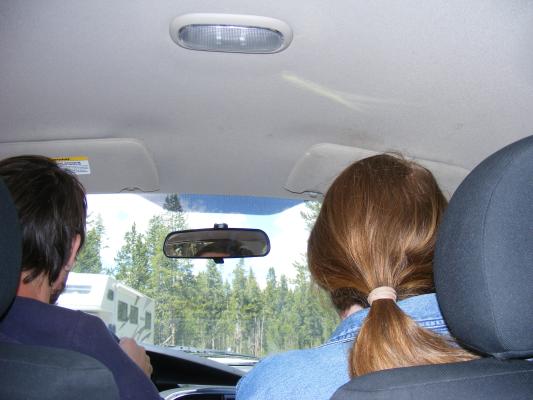 What Noah sees while Driving through yellowstone