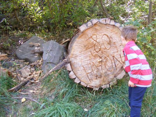 We went hiking in Sourdough canyon and found a log with Noah's name on it.