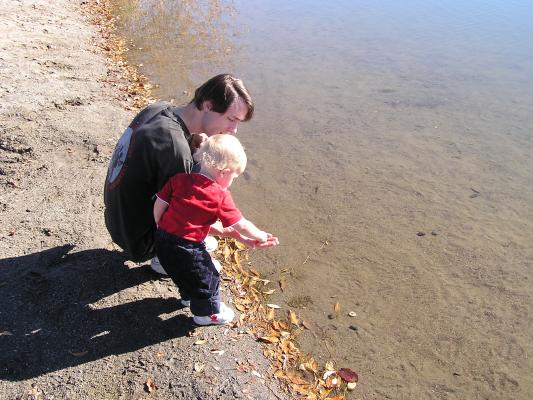 Let's throw some rocks in the water.