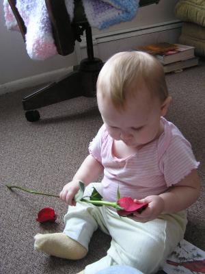Sarah checks out a rose.