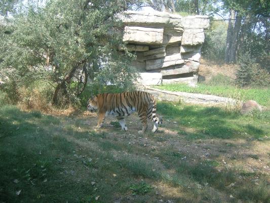 Zoo Montana 2006