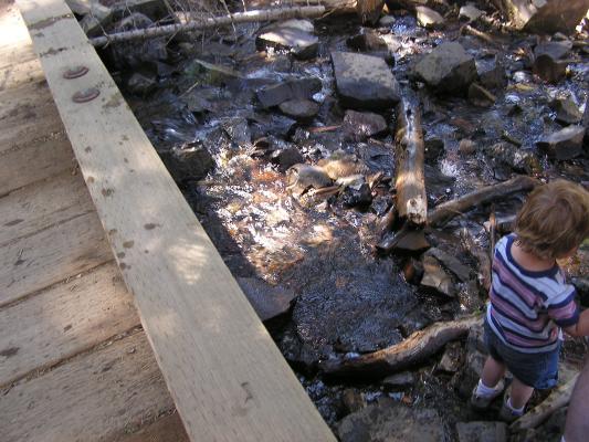 Noah plays by a bridge at Palisade Falls